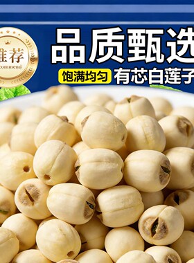 带芯白莲子干货粉糯易煮白莲肉湖南特产手工新鲜无硫带心有芯归心