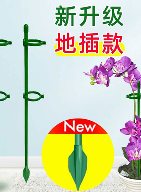 植物支撑杆兰花护叶枝龟背竹海芋专用园艺扶持架花卉防倒伏固定器