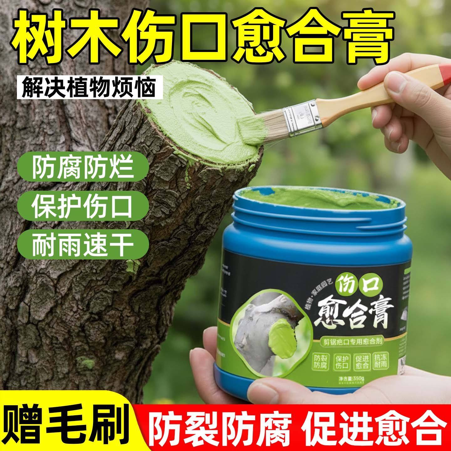 植物树木果树伤口愈合剂盆景树枝剪枝树桩树皮嫁接切口修复涂抹膏,鲜花速递/花卉仿真/绿植园艺,家庭园艺肥料,淘宝优惠券,粉丝福利购,淘宝优惠卷
