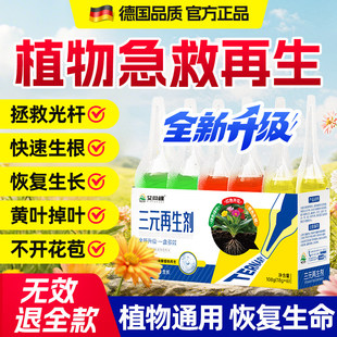 植物再生剂通用型绿植专用肥料室内盆栽花卉水培发财树花肥营养液