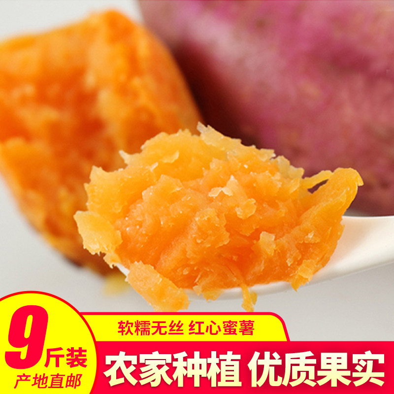 新鲜红薯蜜薯5斤包邮沙地瓜农家红薯黄心番薯非紫薯山芋板栗糖心