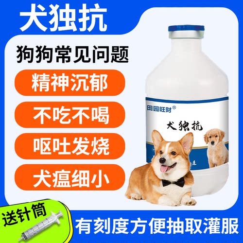 田园旺财犬独抗抗病毒感冒发热
