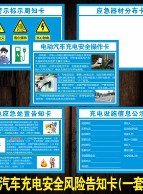 新能源电动汽车告知卡