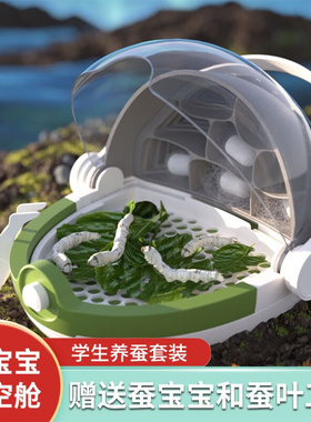 蚕宝宝太空舱饲养盒活体别墅观察箱春蚕卵套装小学生养蚕全套工具