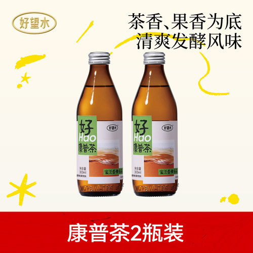 【U先专享】好望水康普茶蜜兰香单丛乌龙茶饮料气泡饮发酵300ml*2