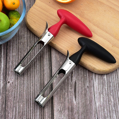 Corer Plastic Handle Apple Corer Stainless Steel Pulp Coring