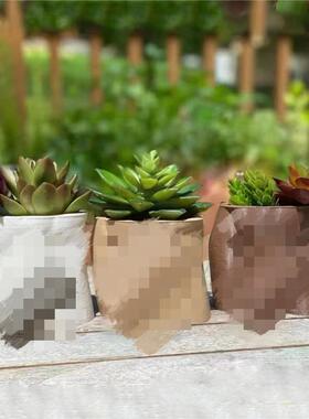 生殖器官花盆装饰品摆件家居庭院设计行为艺术花盆恶搞摆件