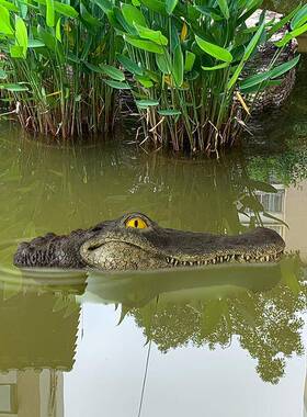 鳄鱼头庭院池塘漂浮动物摆件户外水池仿真装饰品