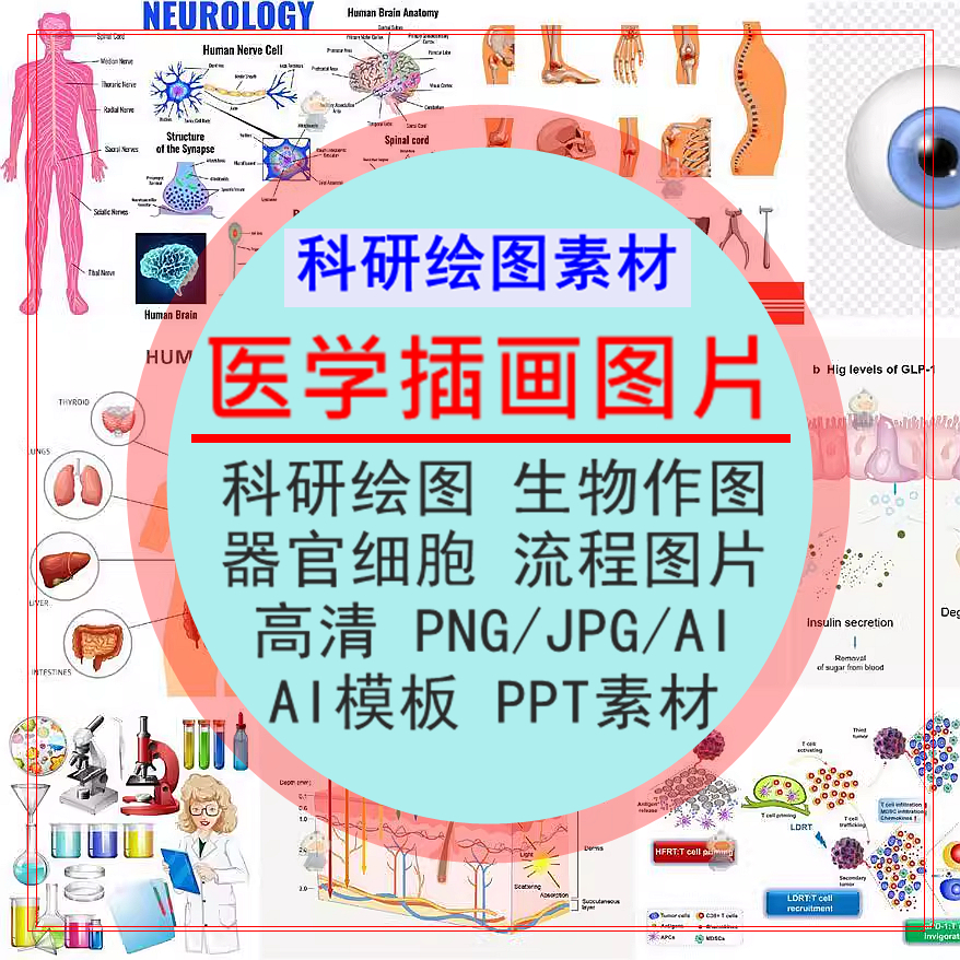 医学插画器官细胞流程图片AI模板PPT素材科研绘图生物作图PNG资料