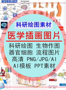 医学插画器官细胞流程图片AI模板PPT素材科研绘图生物作图PNG资料