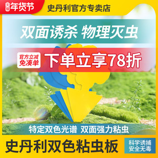 史丹利粘虫板小黄板双面诱虫板蓟马蓝板小黑飞粘虫纸黄蓝一体防虫
