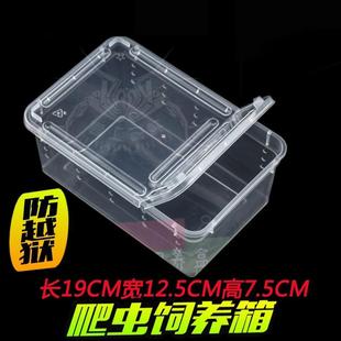饲养盒爬宠蚕宝宝饲养盒角宫蚕宝宝爬虫饲养盒爬宠手提盒子蜥蜴