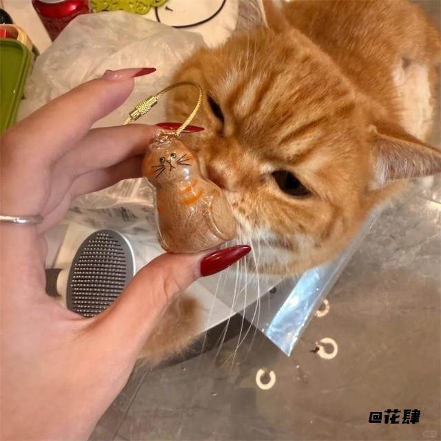 养猫人钥匙扣挂件胶囊扭蛋吊饰猫毛纪念纪念猫猫猫毛收纳盒铲屎官,玩具/童车/益智/积木/模型,胎毛挂坠/挂件,淘宝优惠券,粉丝福利购,淘宝优惠卷
