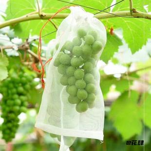 瓜园林水果纱网袋葡萄水稻菜园防虫袋火龙果多功能网兜浸种袋催芽