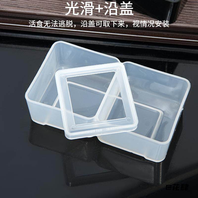 塑料守宫蝎子仓鼠小方盒用品爬宠饲养角蛙饲养盒爬虫防逃食盆纯色