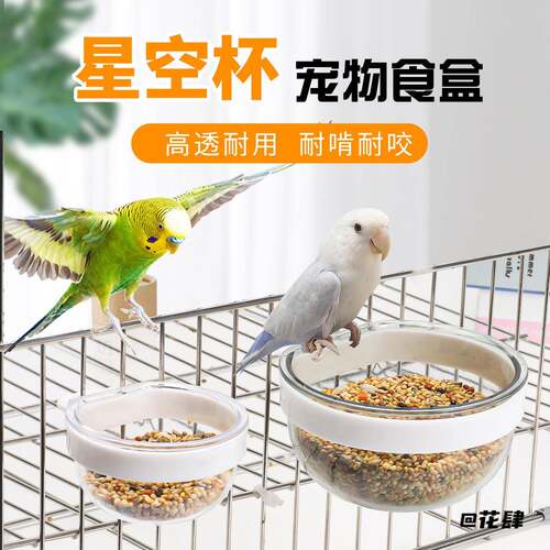 食罐外挂鸟星球杯食盒八哥小太阳玩具塑料高质量食盆鹦鹉星球杯