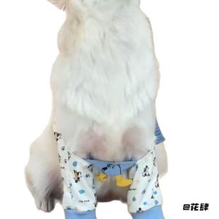 宠物前腿中大型犬狗狗护肘衣护膝狗狗保护套关节萨摩袖套金毛防磨