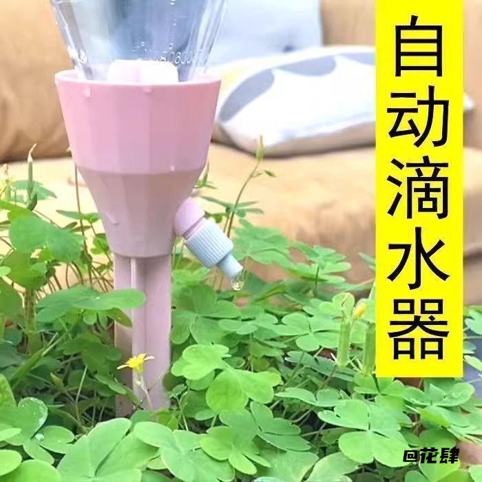 省心省事家用自动懒人必备公园绿地出差旅游养花滴水器自动滴水