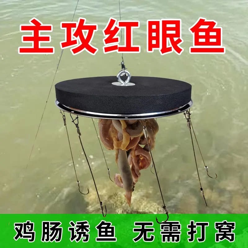 红眼钓鱼盘血滴子钓红眼鱼神器鱼钩挂鸡肠的鳟鱼赤眼鲮鱼抛投垂钓