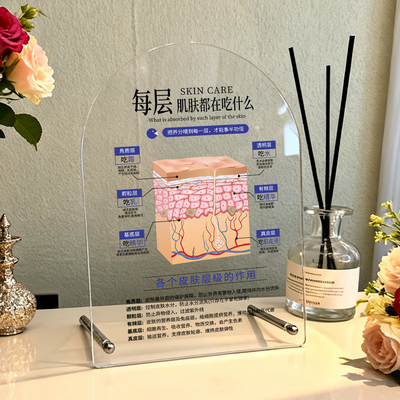 美容院台卡摆台定制透明水光针面部诊皮肤结构分层抗衰代谢定做医美肌肤中胚层解剖图立牌桌牌模型设计展示牌