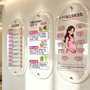月子中心台卡胚胎变化发育注意事项挂牌怀孕后私立医院展示牌胎儿成长信息表准妈妈饮食禁忌产康亚克力装饰画