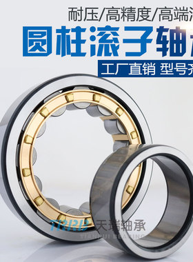 TRRB天瑞圆柱滚子轴承N NJ NU NUP213EM内径65外径120厚度23MM