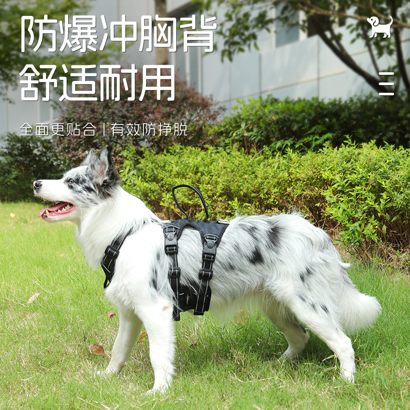 宠物胸背带防爆冲中大型犬牵引绳