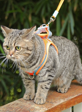 猫咪牵引绳防挣脱专用猫绳小型犬胸背带绳子溜猫绳宠物牵狗绳遛狗