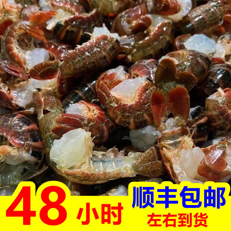 新鲜虾尾现剥鲜活小龙虾尾小中号冻虾