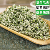 都匀毛尖2025新茶明前特级贵州茶叶高山云雾绿茶板粟浓香250g