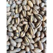 2025新采新炒全激光开口手剥香榧子特好剥裂壳香非诸暨枫桥嵊州