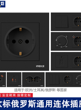 80型黑色俄罗斯欧标专用一开单控德国欧式16A二圆深插带usb+type