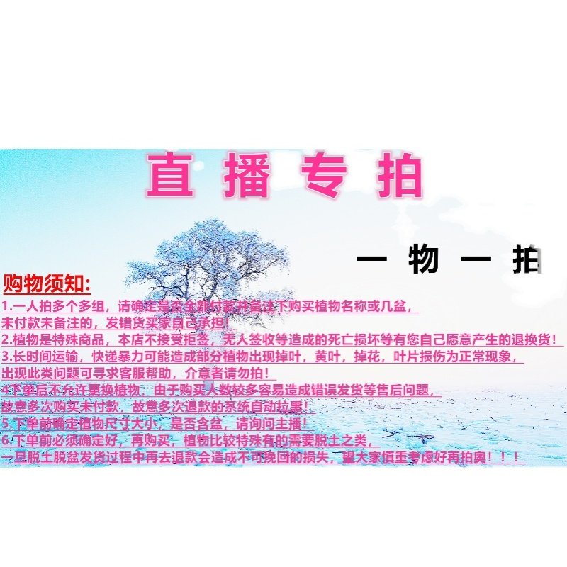 花卉绿植盆景盆栽,鲜花速递/花卉仿真/绿植园艺,绿植,淘宝优惠券,粉丝福利购,淘宝优惠卷