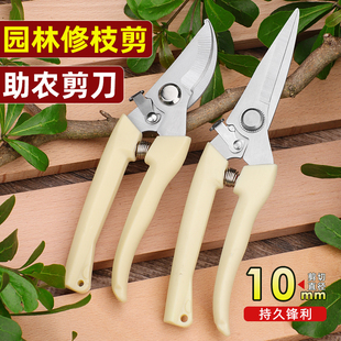 园艺剪修枝剪花剪园林剪花艺剪剪树枝果树剪刀枝剪修剪花卉剪子