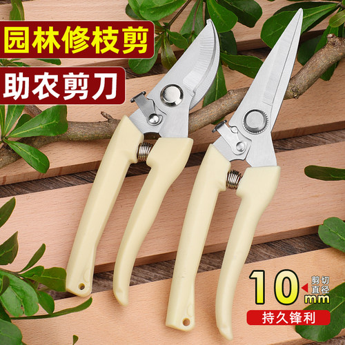 园艺剪修枝剪花剪园林剪花艺剪