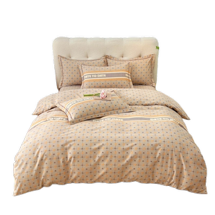 加厚磨毛四件套纯棉全棉2025新款a类高品质180x220x240cm被套床品