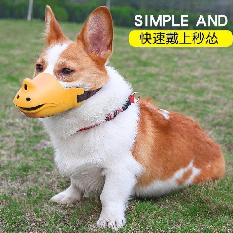 狗狗套嘴器狗狗嘴罩嘴套小型大型犬止吠器防咬叫乱吃柯基狗套嘴巴