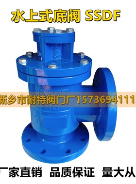 水上式底阀SSDF-10铸铁法兰升降式底阀碳钢焊接水泵底阀口径