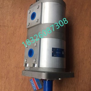 BFHL双联液压齿轮油泵 F510 环卫车配件安徽 F532 长源CBNL