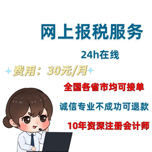 个体 企业网上报税0申报 财务税务代理 会计代理记账 远程报税