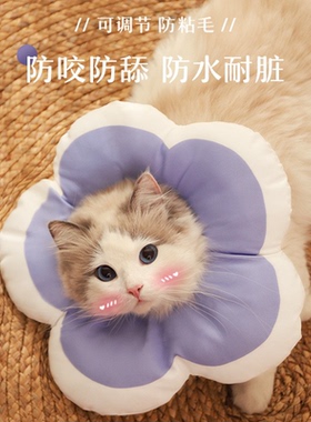 猫咪项圈伊丽莎白圈可爱狗狗防舔软头套伊莉沙白羞耻脖圈绝育用品