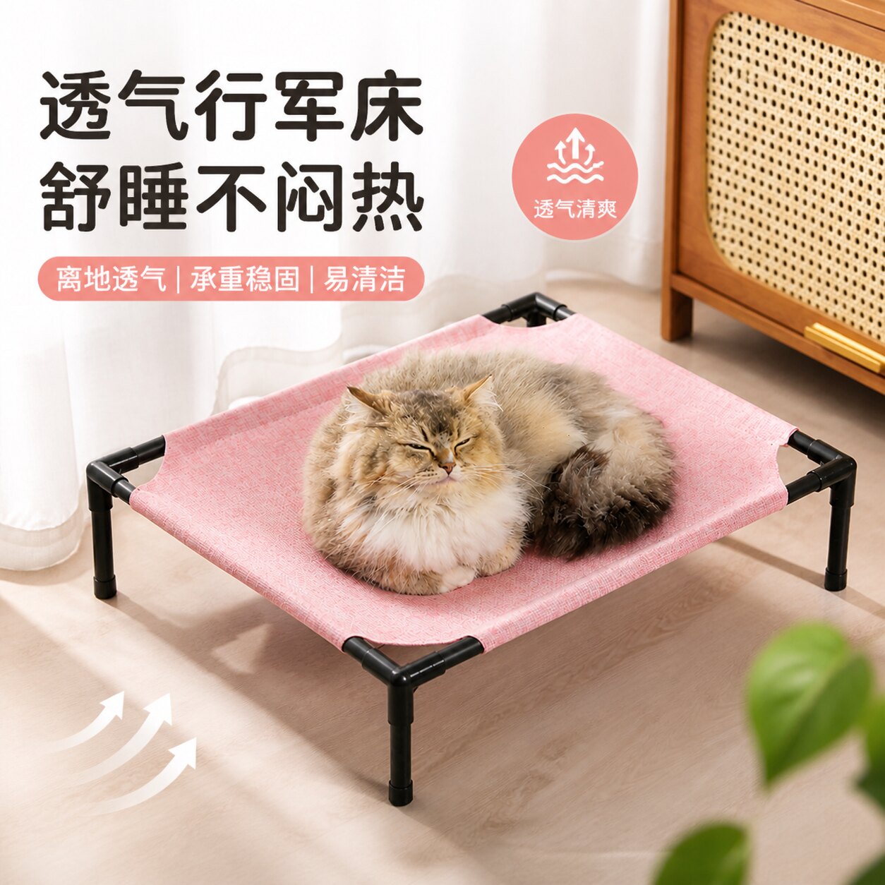 【实用榜TOP1】宠物猫咪行军床图片