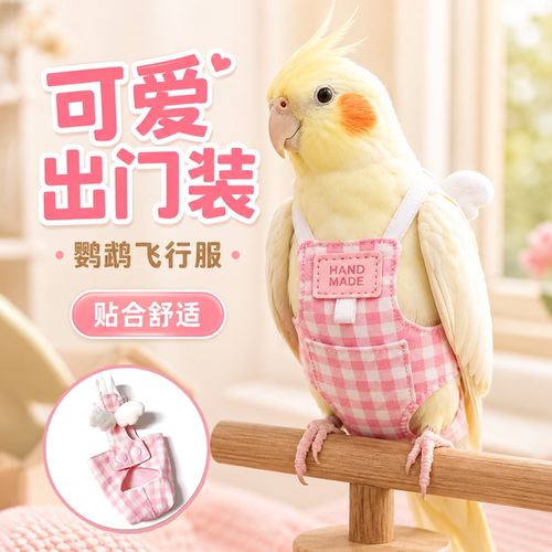 鹦鹉衣服尿不湿屎兜大中型小鸟衣服宠物外出飞行衣鸟用衣服飞行服
