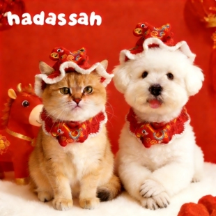 马年新款宠物猫咪新年围巾狗狗过年帽子春节小狗装扮保暖针织围脖