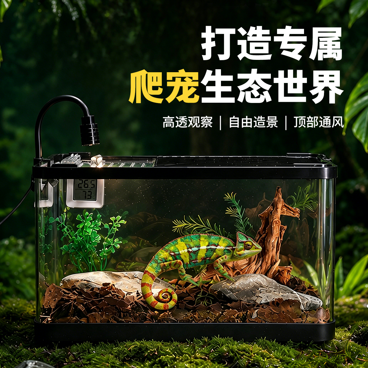 爬宠饲养箱睫角守宫蜥蜴角蛙蜘蛛寄居蟹宠物蛇雨林造景爬虫生态缸