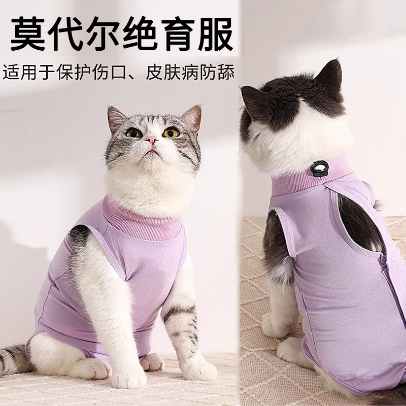 猫咪绝育服母猫绝育衣服幼猫戒奶