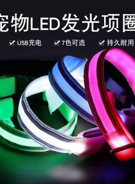 狗狗发光项圈夜间遛狗夜光夜行灯大小型犬防走失带灯充电宠物用品