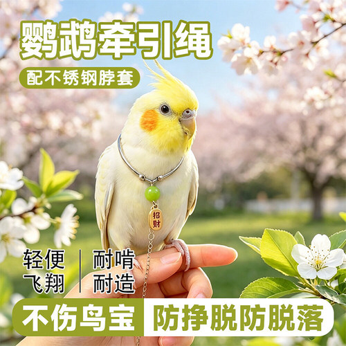 热销8万+】鹦鹉不锈钢项圈放飞绳
