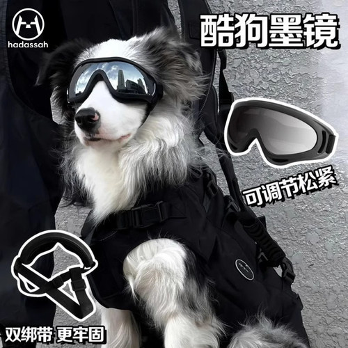 【全网热销3万+】狗狗防风护目镜