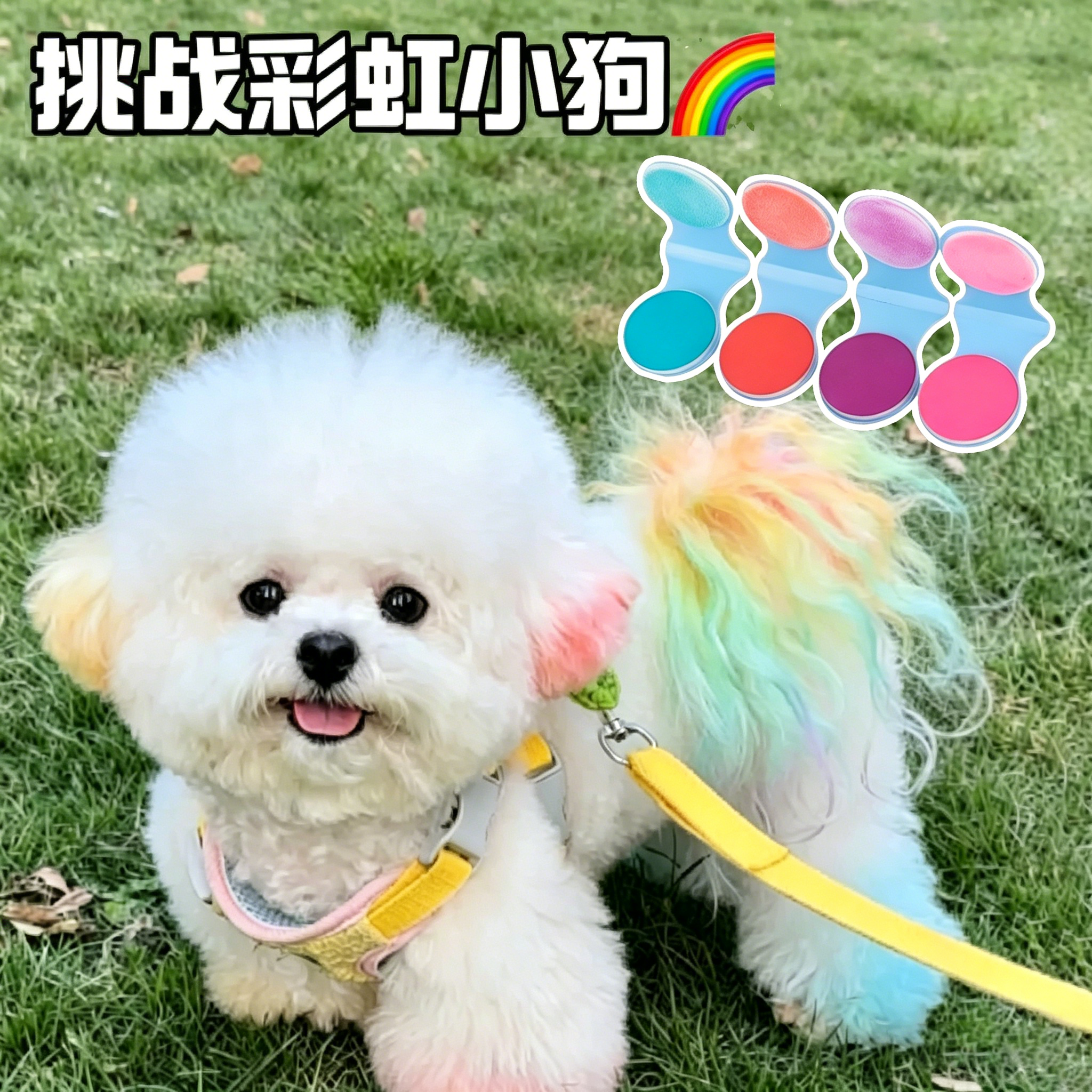 狗狗一次性染发粉饼宠物猫咪腮红染毛发剂博美比熊专用无害染毛膏